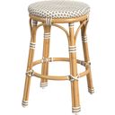 The appearance of Tobias Outdoor Rattan and Metal Counter Stool In Beige and White designed by Butler Specialty Company in the traditional interior design. This beige/white piece of furniture  was selected by 1StopBedrooms from Tobias Collection to add a touch of cosiness and style into your home. Sku: 5648433. Material: Metal.