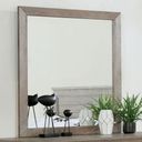 The appearance of Vevey Mirror In Gray designed by Furniture of America in the transitional interior design. This gray piece of furniture was selected by 1StopBedrooms from Vevey Collection to add a touch of cosiness and style into your home. Sku: FOA7175M. Material: Wood.