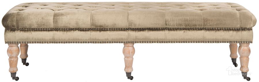 The appearance of Barney Antique Sage and Pickled Oak Tufted Bench designed by Safavieh in the transitional interior design. This sage piece of furniture  was selected by 1StopBedrooms from Barney Collection to add a touch of cosiness and style into your home. Sku: MCR4649F. Product Type: Bench. Material: Stainless Steel. Image1