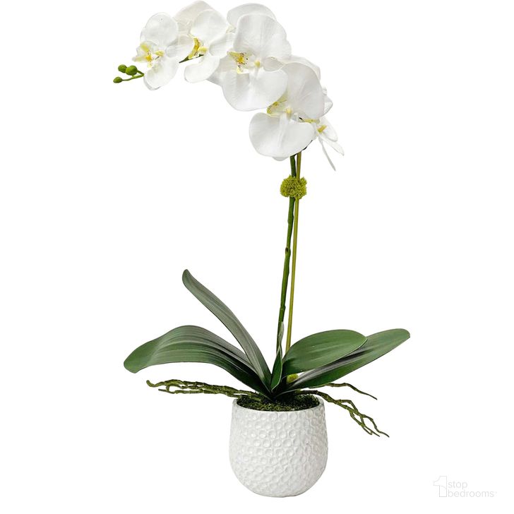 The appearance of Cami Orchid In White designed by Uttermost in the modern / contemporary interior design. This white piece of furniture  was selected by 1StopBedrooms from Cami Orchid Collection to add a touch of cosiness and style into your home. Sku: 60178. Material: Ceramic. Product Type: Decorative Accessory. Image1