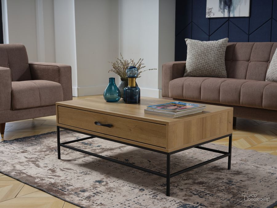 Fireplace with Black Coffee Table Books and Driftwood - Transitional -  Living Room