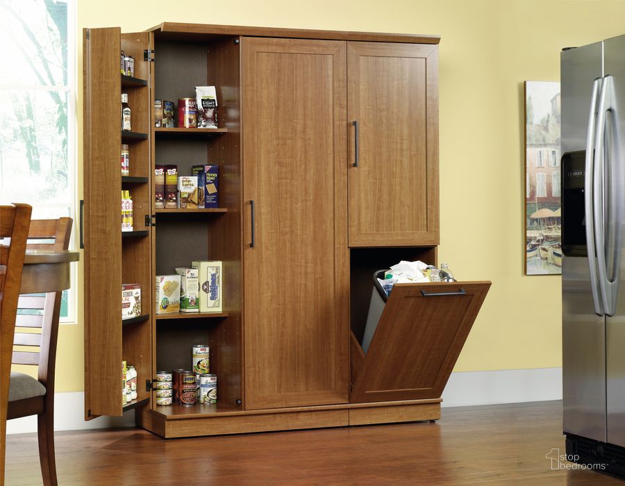 The appearance of Homeplus Storage Cabinet In Sienna Oak designed by Sauder in the transitional interior design. This sienna oak piece of furniture  was selected by 1StopBedrooms from HomePlus Collection to add a touch of cosiness and style into your home. Sku: 411965. Product Type: Storage Cabinet. Material: Engineered Wood. Image1