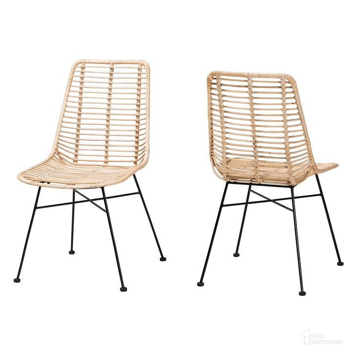 The appearance of Manhattan Rattan and Metal Dining Chair Set of 2 In Natural Brown and Black designed by Baxton Studio in the bohemian interior design. This brown/black piece of furniture  was selected by 1StopBedrooms from Manhattan Collection to add a touch of cosiness and style into your home. Sku: Manhattan-Rattan/Black-DC. Material: Metal. Product Type: Dining Chair. Image1