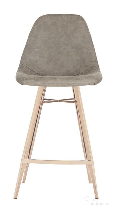 The appearance of Mathison Counter Stool FOX3012B designed by Safavieh in the modern / contemporary interior design. This taupe piece of furniture  was selected by 1StopBedrooms from Mathison Collection to add a touch of cosiness and style into your home. Sku: FOX3012B. Product Type: Barstool. Material: Stainless Steel. Image1