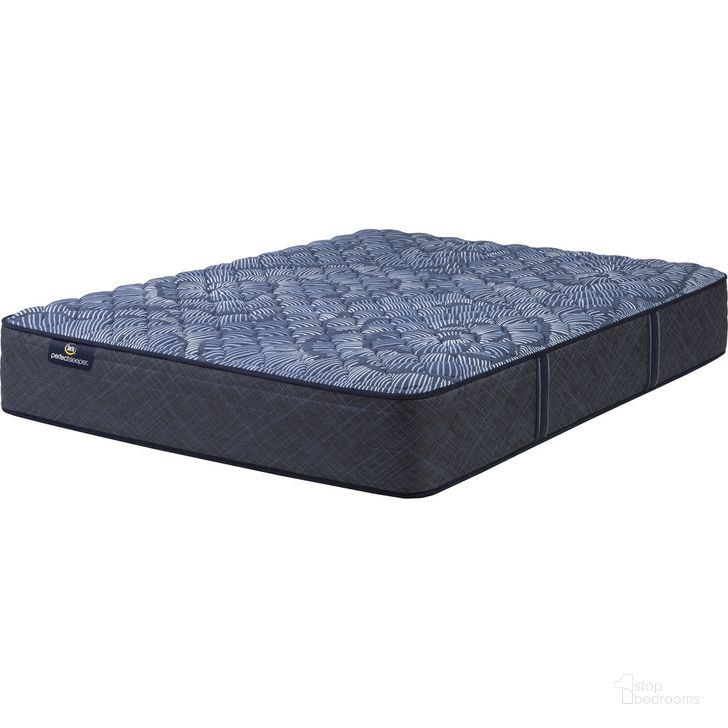 Perfect Sleeper Oasis Sleep 12 Inch Extra Firm Twin Mattress In Dark
