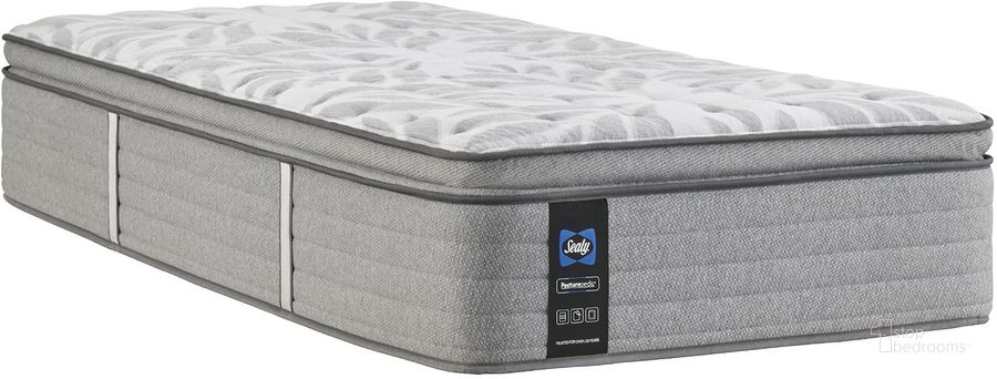 Silver Pine 15 Inch King Soft Pillowtop Innerspring Mattress by Sealy