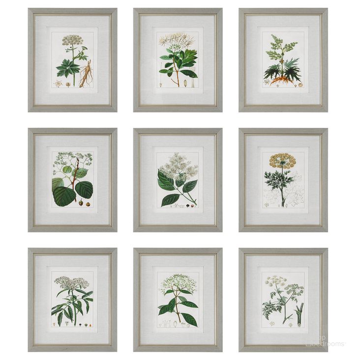 The appearance of Uttermost Antique Botanicals Framed Prints Set Of 9 designed by Uttermost in the traditional interior design. This light gray piece of furniture  was selected by 1StopBedrooms from Antique Collection to add a touch of cosiness and style into your home. Sku: 41466. Product Type: Wall Art. Material: Plastic. Image1