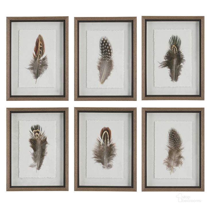 The appearance of Uttermost Birds Of A Feather Framed Prints Set Of 6 designed by Uttermost in the transitional interior design. This multicolor piece of furniture  was selected by 1StopBedrooms from Birds Of A Feather Collection to add a touch of cosiness and style into your home. Sku: 41460. Product Type: Wall Art. Material: Plastic. Image1