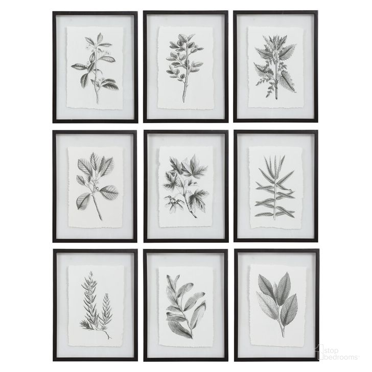 The appearance of Uttermost Farmhouse Florals Framed Prints Set Of 9 designed by Uttermost in the traditional interior design. This black piece of furniture  was selected by 1StopBedrooms from  to add a touch of cosiness and style into your home. Sku: 41617. Product Type: Decorative Accessory. Material: Iron. Image1