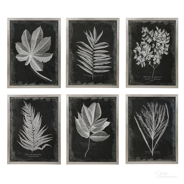 The appearance of Uttermost Foliage Framed Prints Set Of 6 designed by Uttermost in the modern / contemporary interior design. This black piece of furniture  was selected by 1StopBedrooms from Foliage Collection to add a touch of cosiness and style into your home. Sku: 33671. Material: Glass. Product Type: Decorative Accessory. Image1