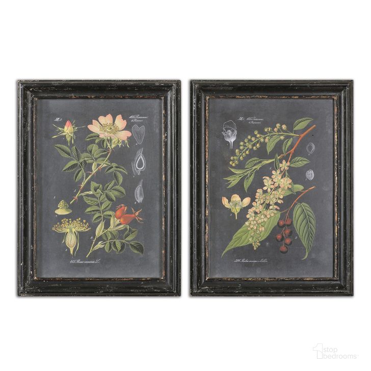 The appearance of Uttermost Midnight Botanicals Wall Art Set Of 2 designed by Uttermost in the traditional interior design. This black piece of furniture  was selected by 1StopBedrooms from  to add a touch of cosiness and style into your home. Sku: 56053. Product Type: Wall Art. Material: MDF. Image1