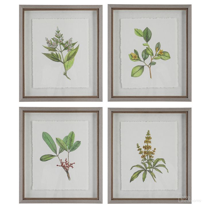 The appearance of Uttermost Wildflower Study Framed Prints Set of 4 designed by Uttermost in the traditional interior design. This light gray piece of furniture  was selected by 1StopBedrooms from Wildflower Study Collection to add a touch of cosiness and style into your home. Sku: 41461. Product Type: Wall Art. Material: Plastic. Image1