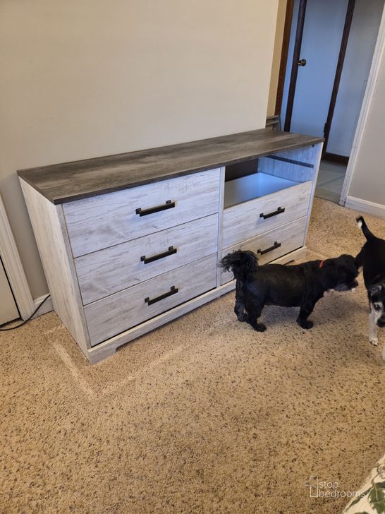 Shawburn Dresser In White Wash/Charcoal Gray by Ashley Furniture |  1StopBedrooms