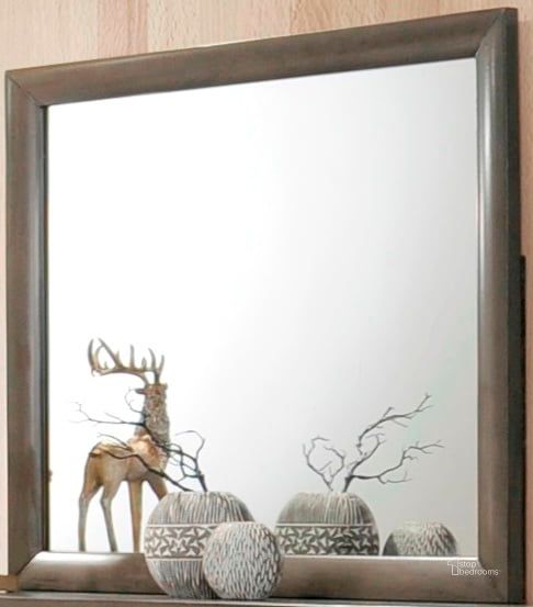 The appearance of Ireland Gray Oak Mirror designed by ACME in the transitional interior design. This gray piece of furniture  was selected by 1StopBedrooms from Ireland Collection to add a touch of cosiness and style into your home. Sku: 22705. Material: Glass. Product Type: Dresser Mirror. Image1