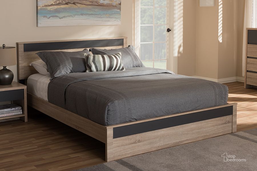 The appearance of Baxton Studio Jamie Modern And Contemporary Two-Tone Oak And Grey Wood Queen Size Platform Bed designed by Baxton Studio in the modern / contemporary interior design. This light brown piece of furniture  was selected by 1StopBedrooms from Jamie Collection to add a touch of cosiness and style into your home. Sku: JMQB002291-Hana Oak/Dark Grey-Queen. Bed Type: Platform Bed. Product Type: Platform Bed. Bed Size: Queen. Material: MDF. Image1