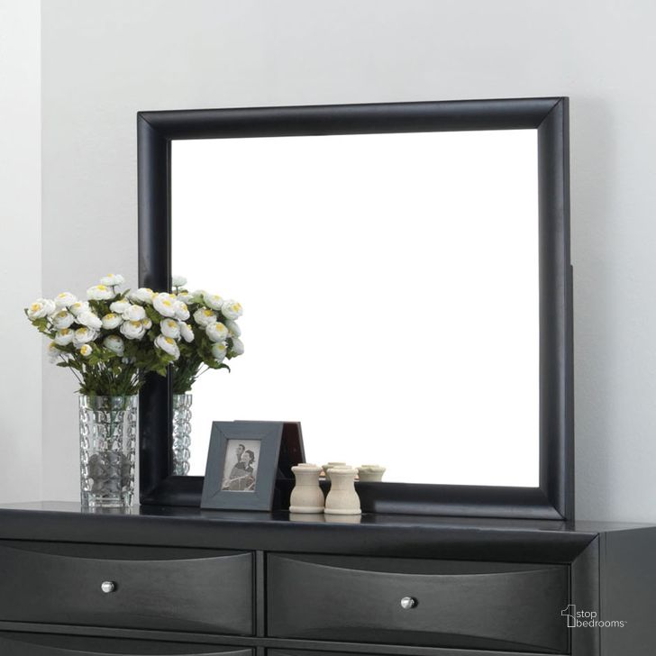 The appearance of Acme Ireland Mirror in Black designed by ACME in the transitional interior design. This black piece of furniture  was selected by 1StopBedrooms from Ireland Collection to add a touch of cosiness and style into your home. Sku: 04164. Material: Glass. Product Type: Dresser Mirror. Image1