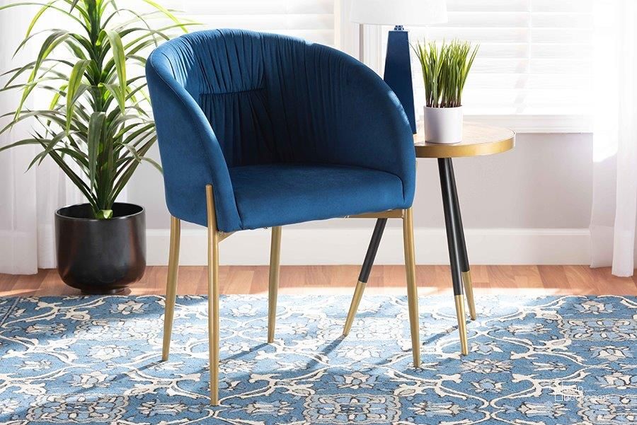 The appearance of Baxton Studio Ballard Modern Luxe and Glam Navy Blue Velvet Fabric Upholstered and Gold Finished Metal Dining Chair designed by Baxton Studio in the glam interior design. This gold piece of furniture  was selected by 1StopBedrooms from Ballard Collection to add a touch of cosiness and style into your home. Sku: DC168-Navy Blue Velvet/Gold-DC. Material: Metal. Product Type: Dining Chair. Image1