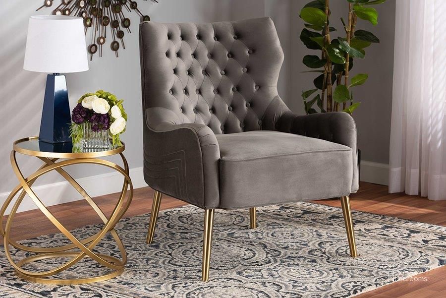 The appearance of Baxton Studio Nelson Modern Luxe and Glam Grey Velvet Fabric Upholstered and Gold Finished Metal Armchair designed by Baxton Studio in the glam interior design. This grey and gold piece of furniture  was selected by 1StopBedrooms from Nelson Collection to add a touch of cosiness and style into your home. Sku: TSF-6741-Grey Velvet/Gold-CC. Material: Polyester. Product Type: Arm Chair. Image1