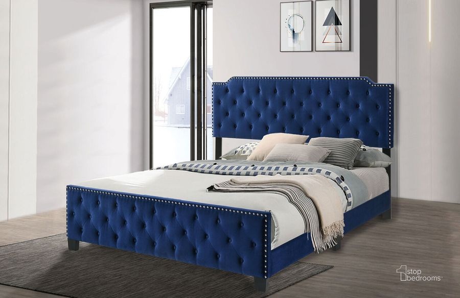 The appearance of Charlize Eastern King Bed In Navy designed by Furniture of America in the modern / contemporary interior design. This navy piece of furniture  was selected by 1StopBedrooms from Charlize Collection to add a touch of cosiness and style into your home. Sku: CM7414NV-EK. Bed Type: Panel Bed. Material: Wood. Product Type: Panel Bed. Bed Size: King.