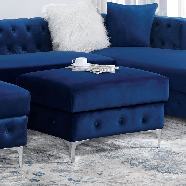 The appearance of Ciabattoni Ottoman In Navy designed by Furniture of America in the transitional interior design. This navy piece of furniture  was selected by 1StopBedrooms from Ciabattoni Collection to add a touch of cosiness and style into your home. Sku: CM6256NV-OT. Material: Wood. Product Type: Ottoman. Image1