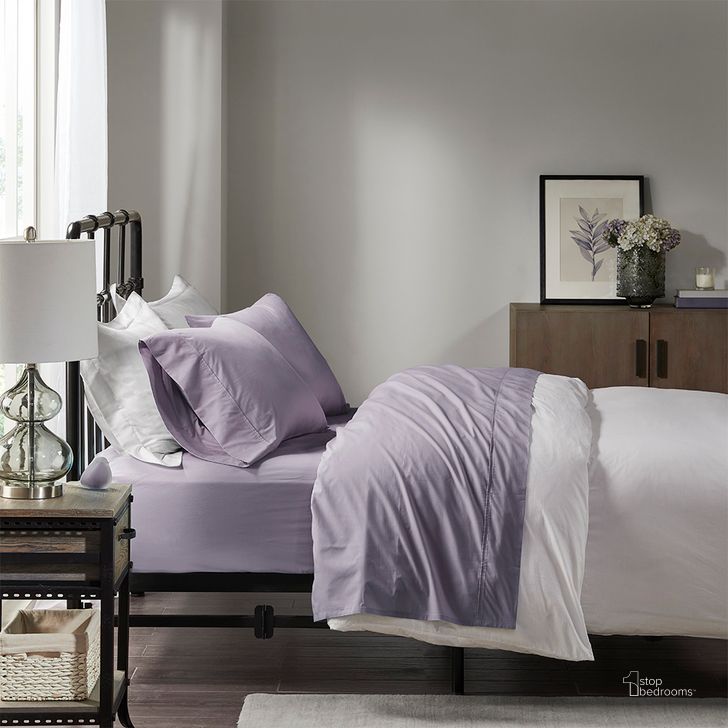 The appearance of Cotton Peached Percale Twin Sheet Set In Purple designed by Olliix in the transitional interior design. This purple piece of furniture  was selected by 1StopBedrooms from Peached Percale Collection to add a touch of cosiness and style into your home. Sku: MP20-5393. Bed Size: Twin. Material: Cotton. Product Type: Bed Sheet. Image1