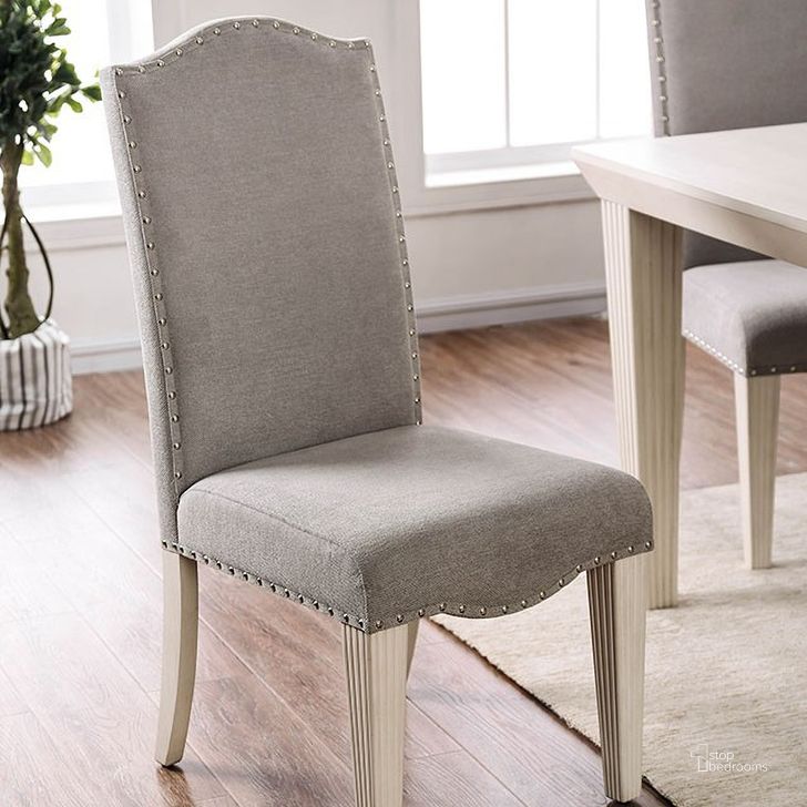 The appearance of Daniella Side Chair (Set of 2) designed by Furniture of America in the transitional interior design. This two-tone color piece of furniture  was selected by 1StopBedrooms from Daniella Collection to add a touch of cosiness and style into your home. Sku: CM3630SC-2PK. Material: Fabric. Product Type: Dining Chair. Image1