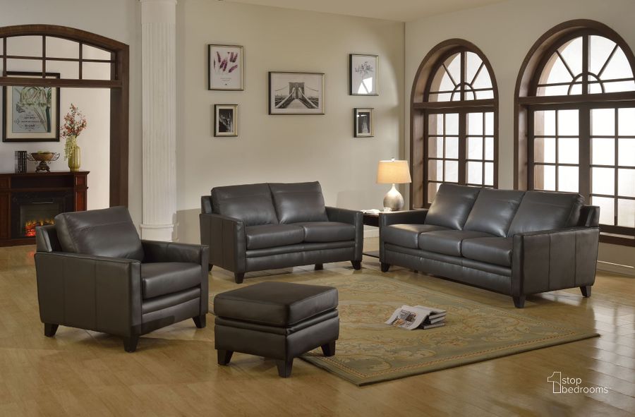 The appearance of Fletcher Grey Living Room Set designed by Leather Italia USA in the traditional interior design. This gray piece of furniture  was selected by 1StopBedrooms from Fletcher Collection to add a touch of cosiness and style into your home. Sku: 1444-6287B-031128A;1444-6287B-021128A. Material: Leather. Product Type: Living Room Set. Image1