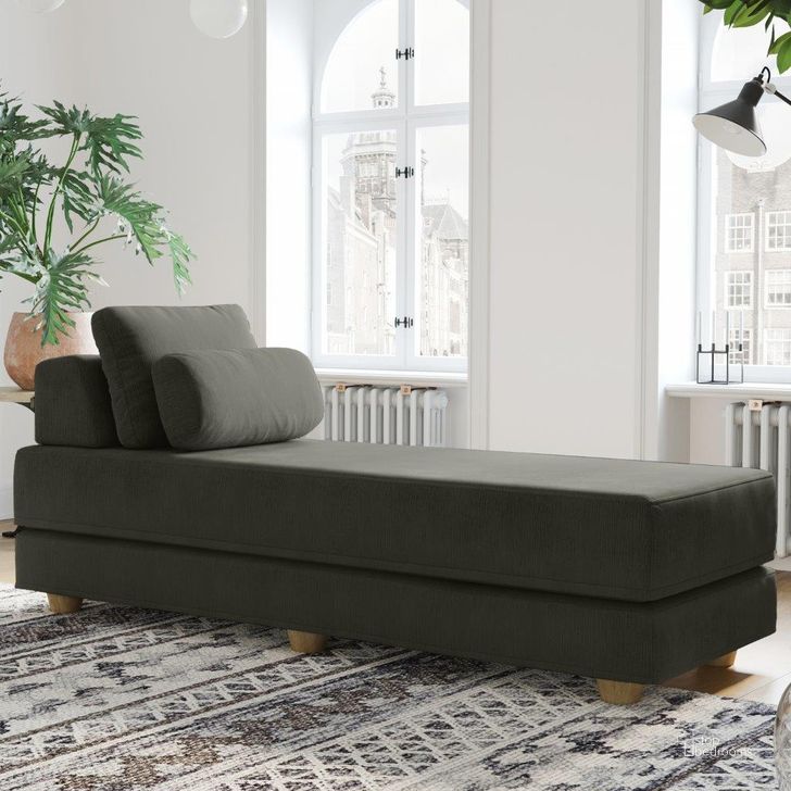 The appearance of Foam Labs Chizano Chaise Lounge Daybed In Charcoal designed by Jaxx Bean Bags in the modern / contemporary interior design. This charcoal piece of furniture  was selected by 1StopBedrooms from  to add a touch of cosiness and style into your home. Sku: 18962402. Product Type: Accent Chair. Image1
