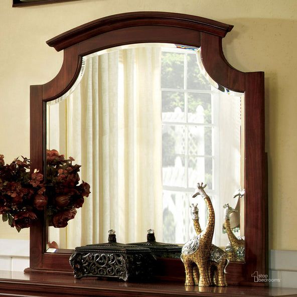 The appearance of Gabrielle II Cherry Mirror designed by Furniture of America in the traditional interior design. This brown piece of furniture  was selected by 1StopBedrooms from Gabrielle Collection to add a touch of cosiness and style into your home. Sku: CM7083M. Material: Wood. Product Type: Dresser Mirror. Image1