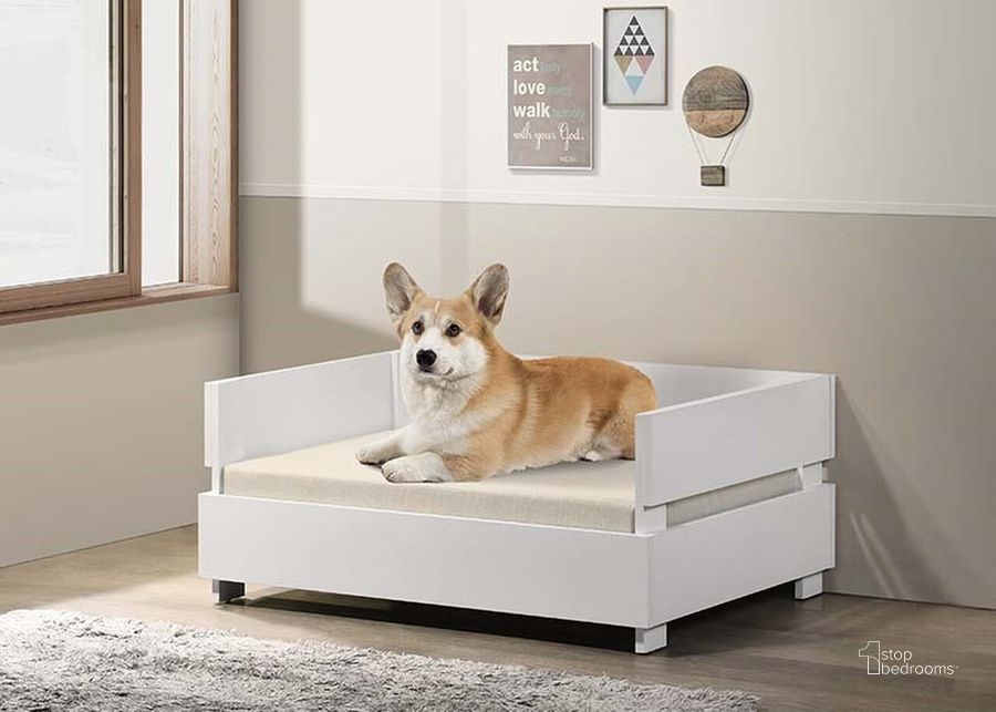 The appearance of Marshmallow Pet Bed With Cushion In Off White designed by Progressive Furniture in the transitional interior design. This off white piece of furniture  was selected by 1StopBedrooms from Marshmallow Collection to add a touch of cosiness and style into your home. Sku: I687-41. Product Type: Pet Bed. Material: Melamine. Image1