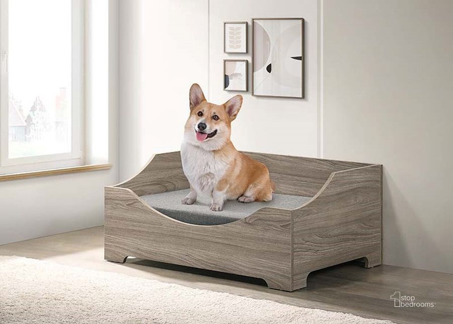 The appearance of Pet Bed With Cushion In Grey and Sand designed by Progressive Furniture in the transitional interior design. This grey and sand piece of furniture  was selected by 1StopBedrooms from  to add a touch of cosiness and style into your home. Sku: I688-41. Product Type: Pet Bed. Material: Melamine. Image1