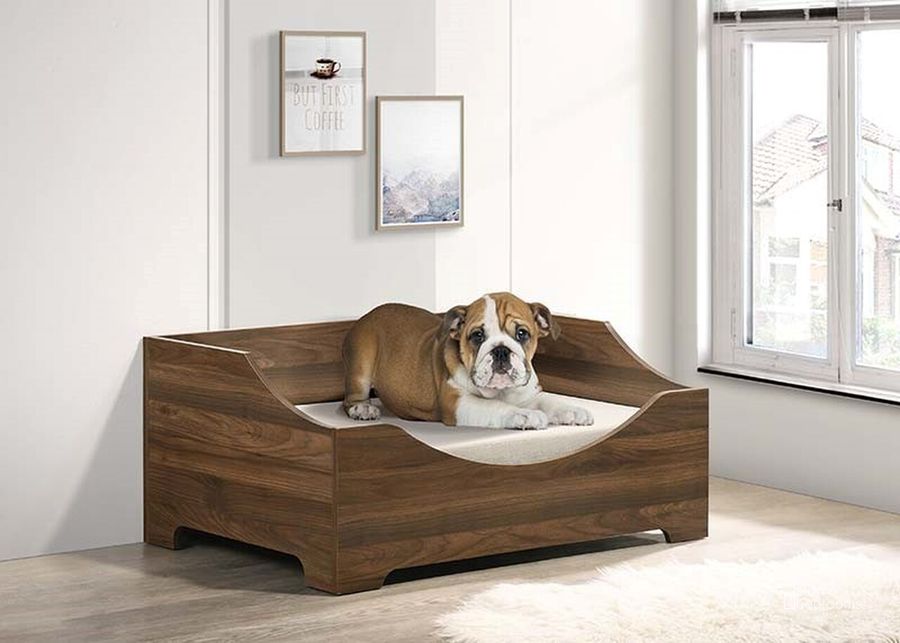 The appearance of Pet Bed With Cushion In Root Beer designed by Progressive Furniture in the transitional interior design. This root beer piece of furniture  was selected by 1StopBedrooms from  to add a touch of cosiness and style into your home. Sku: I689-41. Product Type: Pet Bed. Material: Melamine. Image1