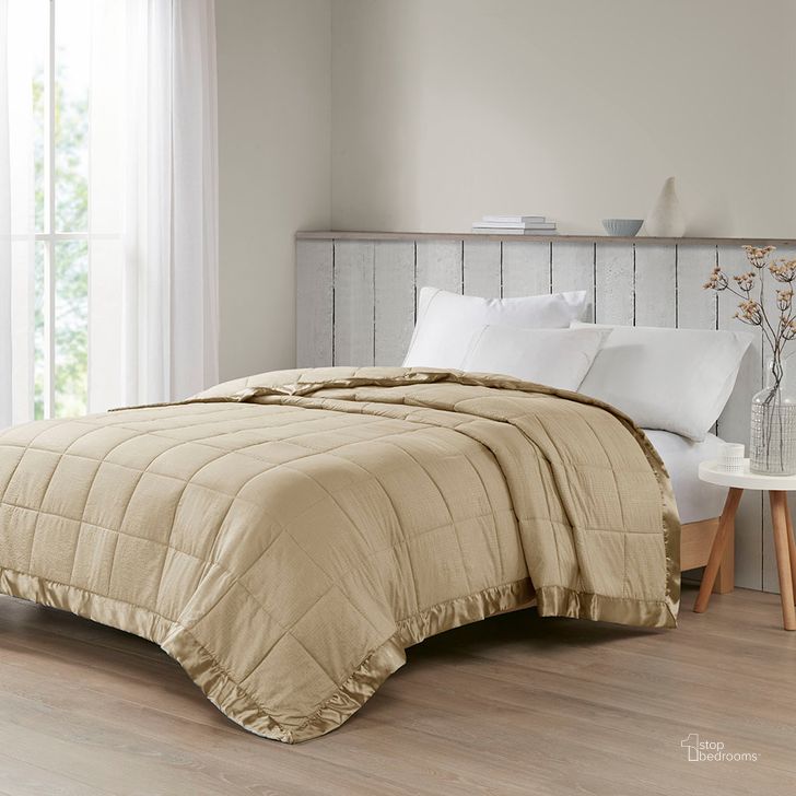 The appearance of Polyester Solid Embossed Microfiber Premium Oversized Queen Blanket In Taupe designed by Olliix in the transitional interior design. This taupe piece of furniture  was selected by 1StopBedrooms from Cambria Collection to add a touch of cosiness and style into your home. Sku: MP51-2602. Material: Polyester. Bed Size: Queen. Product Type: Throw. Image1