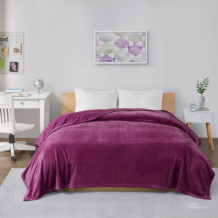 The appearance of Polyester Solid Microlight Plush Brushed Oversized Queen Blanket In Purple designed by Olliix in the transitional interior design. This purple piece of furniture  was selected by 1StopBedrooms from Microlight Plush Collection to add a touch of cosiness and style into your home. Sku: ID51-1090. Material: Polyester. Bed Size: Queen. Product Type: Throw. Image1