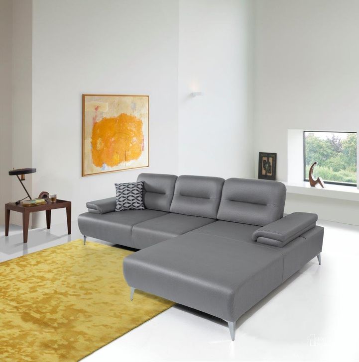 The appearance of Ruslan Sectional designed by Whiteline Modern Living in the modern / contemporary interior design. This light grey piece of furniture  was selected by 1StopBedrooms from Ruslan Collection to add a touch of cosiness and style into your home. Sku: SR1759-LGRY. Material: Leather. Product Type: Sectional. Layout: Sofa & Chaise.