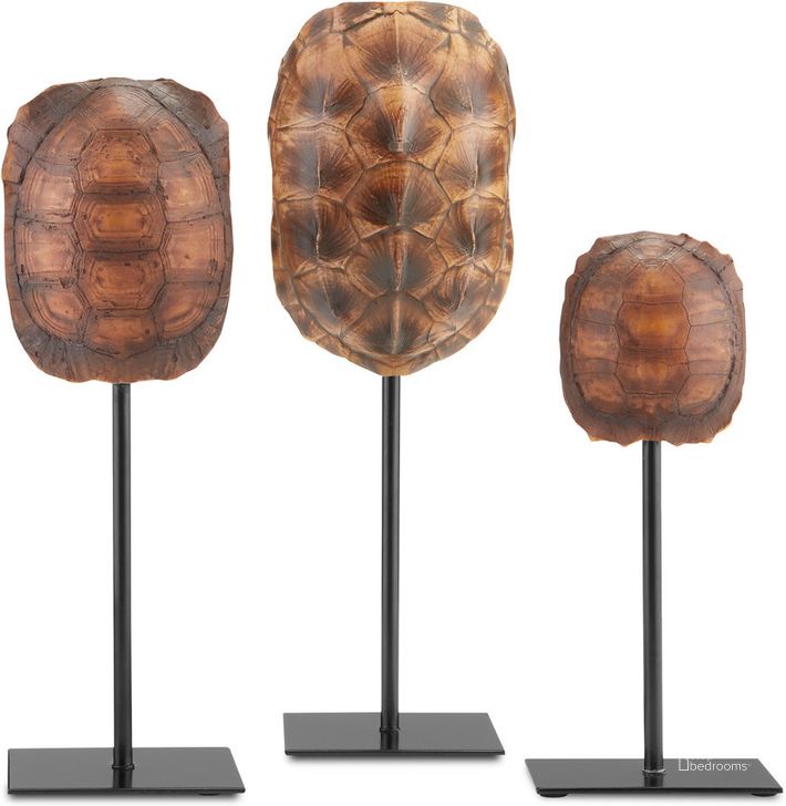The appearance of Turtle Shells Set of 3 In Brown and Black designed by Currey & Company in the coastal interior design. This brown/black piece of furniture  was selected by 1StopBedrooms from Turtle Collection to add a touch of cosiness and style into your home. Sku: 1200-0433. Material: Metal. Product Type: Sculpture. Image1