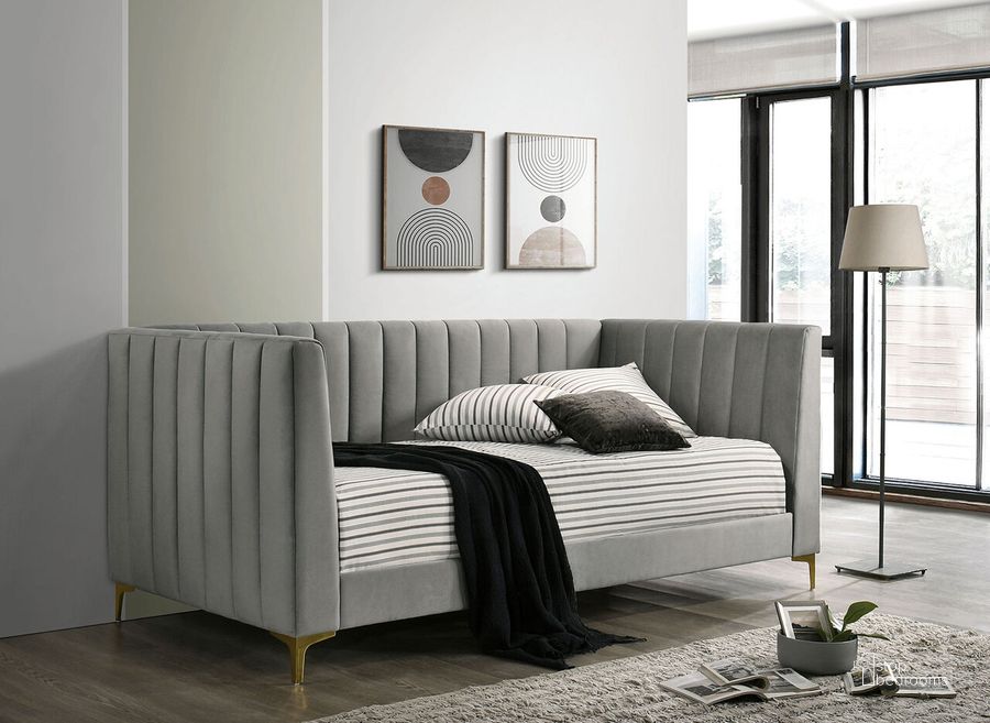 The appearance of Twin Daybed In Light Gray designed by Furniture of America in the modern / contemporary interior design. This light gray piece of furniture  was selected by 1StopBedrooms from  to add a touch of cosiness and style into your home. Sku: CM1930LG-1;CM1930LG-2. Bed Type: Daybed. Material: Metal. Product Type: DayBed. Bed Size: Twin. Image1