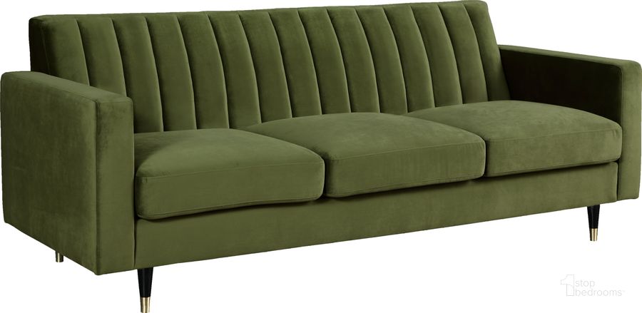 The appearance of Meridian Lola Olive Velvet Sofa designed by Meridian in the modern / contemporary interior design. This olive velvet piece of furniture  was selected by 1StopBedrooms from Lola Collection to add a touch of cosiness and style into your home. Sku: 619Olive-S. Product Type: Sofa. Material: Velvet. Image1