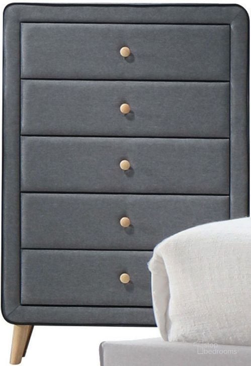 The appearance of Valda Light Gray Chest designed by ACME in the transitional interior design. This gray piece of furniture  was selected by 1StopBedrooms from Valda Collection to add a touch of cosiness and style into your home. Sku: 24526. Material: Fabric. Product Type: Chest. Image1