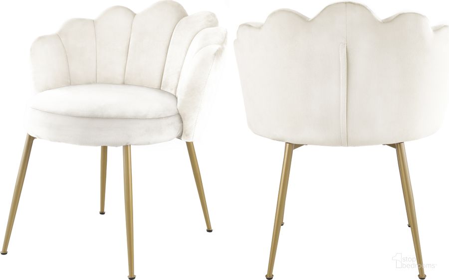 The appearance of Claire Cream Velvet Dining Chair (Set of 2) designed by Meridian in the modern / contemporary interior design. This cream velvet piece of furniture  was selected by 1StopBedrooms from Claire Collection to add a touch of cosiness and style into your home. Sku: 748Cream-C. Product Type: Dining Chair. Material: Velvet. Image1