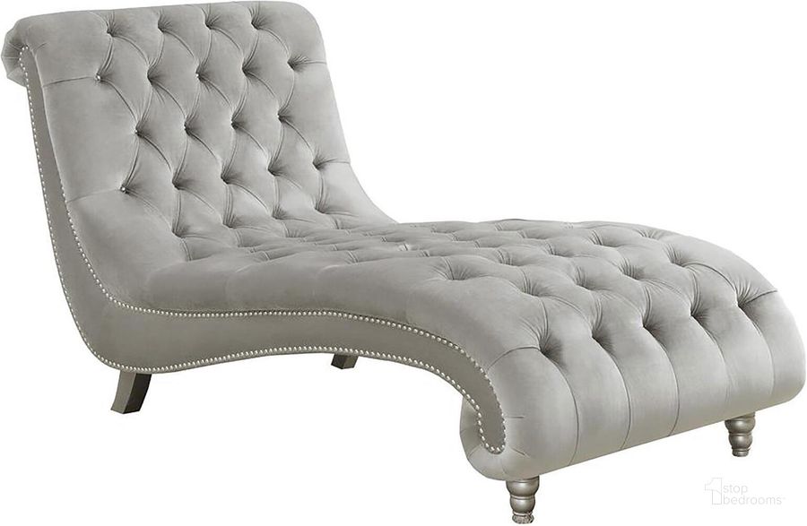 The appearance of 905468 Grey Chaise designed by Coaster in the modern / contemporary interior design. This gray piece of furniture  was selected by 1StopBedrooms from  to add a touch of cosiness and style into your home. Sku: 905468. Product Type: Chaise. Material: Rubberwood. Image1