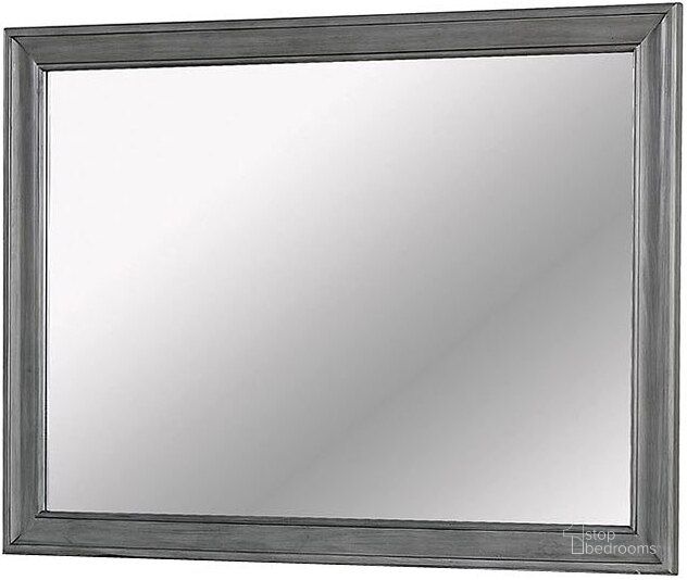 The appearance of Brandt Mirror (Gray) designed by Furniture of America in the transitional interior design. This medium color piece of furniture  was selected by 1StopBedrooms from Brandt Collection to add a touch of cosiness and style into your home. Sku: CM7302GY-M. Material: Wood. Product Type: Dresser Mirror.