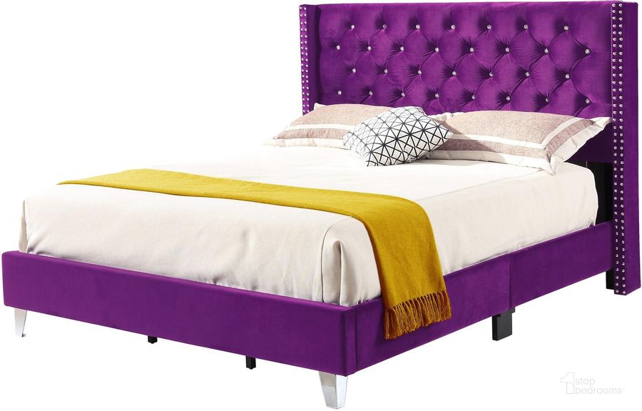 The appearance of Glory Furniture Victa Queen Size Bed Purple designed by Glory in the modern / contemporary interior design. This purple piece of furniture  was selected by 1StopBedrooms from Victa Collection to add a touch of cosiness and style into your home. Sku: G1921-QB-UP-Queen Bed. Bed Type: Panel Bed. Material: Wood. Product Type: Panel Bed. Bed Size: Queen. Image1