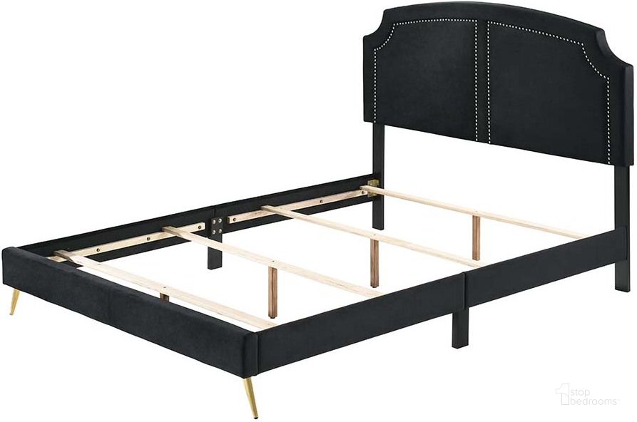 The appearance of Acme Zeena Queen Bed In Black Velvet designed by ACME in the modern / contemporary interior design. This black velvet piece of furniture  was selected by 1StopBedrooms from Zeena Collection to add a touch of cosiness and style into your home. Sku: BD01176Q. Bed Type: Panel Bed. Material: Wood. Product Type: Panel Bed. Bed Size: Queen. Image1