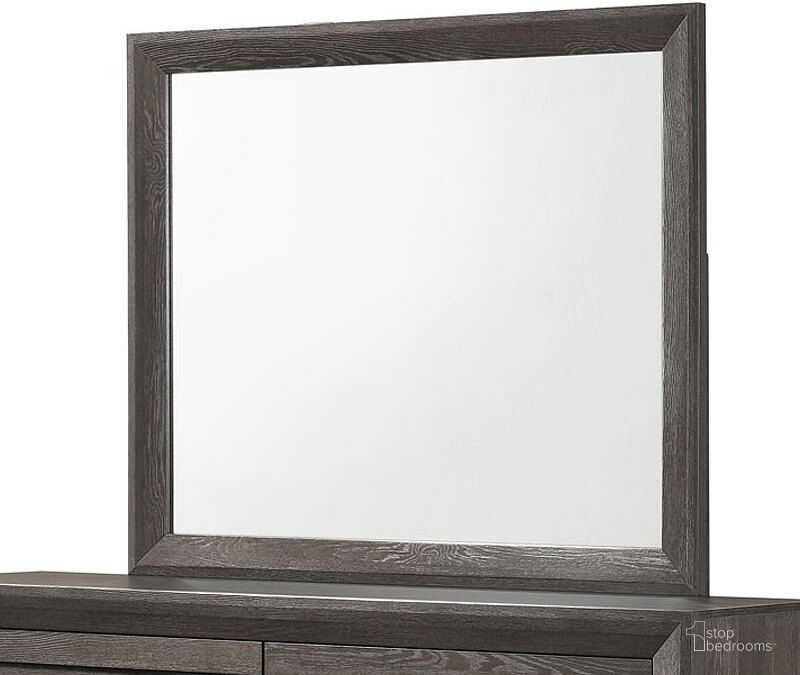 The appearance of Adelaide Mirror designed by Crown Mark in the transitional interior design. This brown piece of furniture  was selected by 1StopBedrooms from Adelaide Collection to add a touch of cosiness and style into your home. Sku: B6700-11. Product Type: Dresser Mirror. Image1