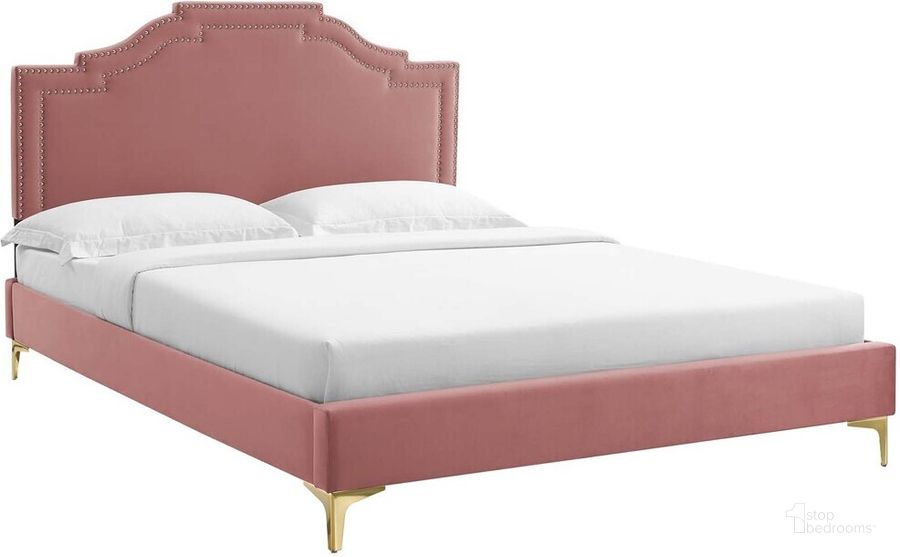 The appearance of Adelaide Performance Velvet King Platform Bed In Dusty Rose designed by Modway in the  interior design. This dusty rose piece of furniture  was selected by 1StopBedrooms from Adelaide Collection to add a touch of cosiness and style into your home. Sku: MOD-6862-DUS. Bed Type: Platform Bed. Product Type: Platform Bed. Bed Size: King. Material: MDF. Image1