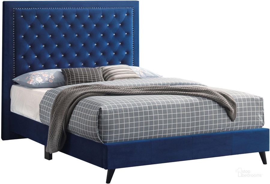 The appearance of Alba Navy Blue King Bed designed by Glory in the glam interior design. This navy blue piece of furniture  was selected by 1StopBedrooms from Alba Collection to add a touch of cosiness and style into your home. Sku: G0609-KB-UP-King  Bed. Bed Type: Platform Bed. Material: Wood. Product Type: Platform Bed. Bed Size: King. Image1
