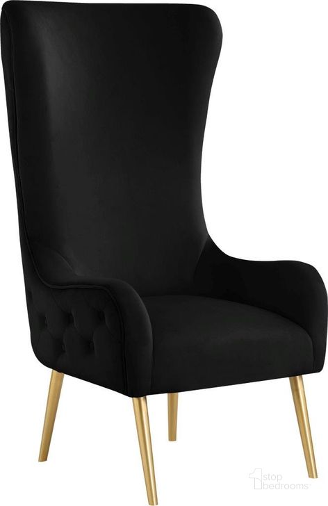 The appearance of Alexander Black Velvet Accent Chair designed by Meridian in the modern / contemporary interior design. This black and gold piece of furniture  was selected by 1StopBedrooms from Alexander Collection to add a touch of cosiness and style into your home. Sku: 536Black. Product Type: Accent Chair. Material: Velvet. Image1