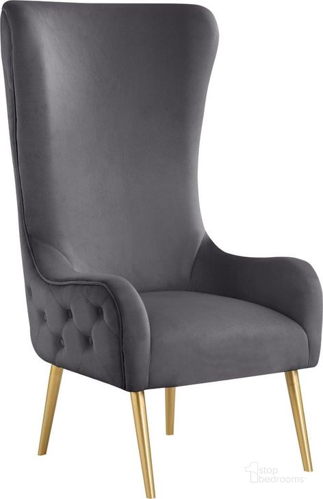 The appearance of Alexander Grey Velvet Accent Chair designed by Meridian in the modern / contemporary interior design. This gray and gold piece of furniture  was selected by 1StopBedrooms from Alexander Collection to add a touch of cosiness and style into your home. Sku: 536Grey. Product Type: Accent Chair. Material: Velvet. Image1