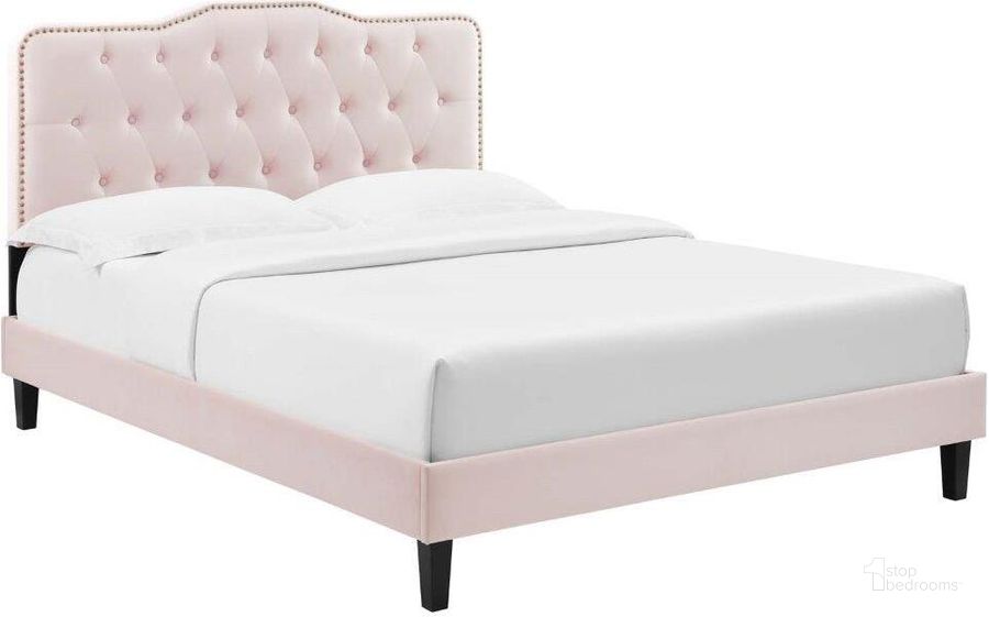 The appearance of Amber Tufted Performance Velvet King Platform Bed In Pink designed by Modway in the modern / contemporary interior design. This pink piece of furniture  was selected by 1StopBedrooms from Amber Collection to add a touch of cosiness and style into your home. Sku: MOD-6786-PNK. Bed Type: Platform Bed. Product Type: Platform Bed. Bed Size: King. Material: Plywood. Image1